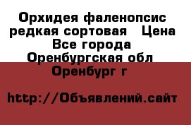 Орхидея фаленопсис редкая сортовая › Цена ­ 800 - Все города  »    . Оренбургская обл.,Оренбург г.